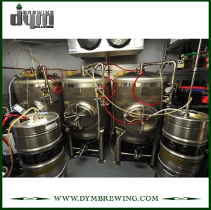 Cheap Customized 10bbl Single Wall Fermenter (EV: 10BBL)