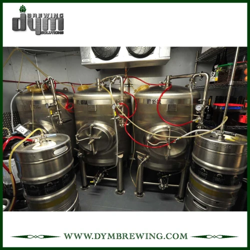 Beer Fermentation Tanks for Sale | DYM Customized  Single Wall 5HL  Stainless Steel Beer Fermentation Tank for Sale