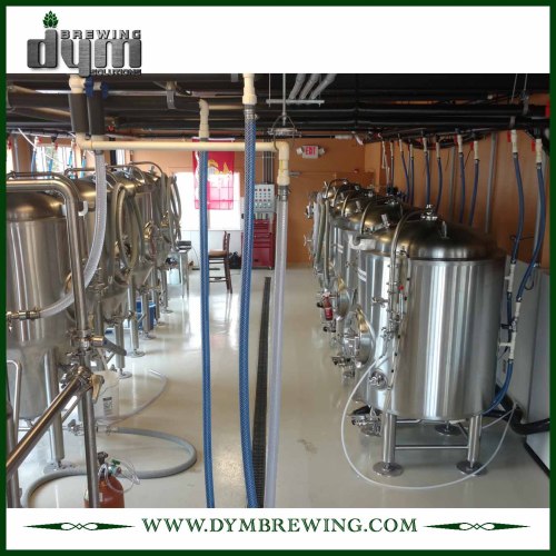 Tanque de almacenamiento de cerveza de acero inoxidable de grado alimenticio 5bbl (EV 5BBL) para almacenar la cerveza