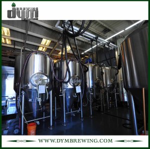 Tanque de almacenamiento de cerveza de acero inoxidable de grado alimenticio 20bbl (EV 20BBL) para almacenar la cerveza