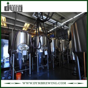 Емкость для хранения пива 10 баррелей из нержавеющей стали (EV 10BBL) для хранения пива