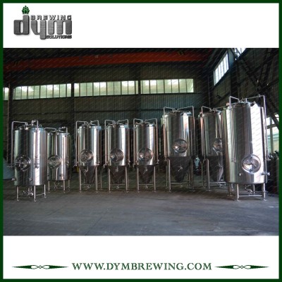 Large Scale 10BBL & 20BBL Fermenter Fabricating by Chinese Fermenter Manufacturer