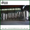 Professional Customized 10bbl&20bbl Unitank Fermenter for Beer Brewery Fermentation with Glycol Jacket