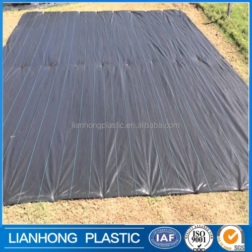 Polypropylene PP Woven landscape fabric, Export Weed Control Fabric used in agriculture,garden,landscape