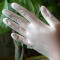 Disposable PVC gloves vinyl gloves safety healthy and eco-friendly