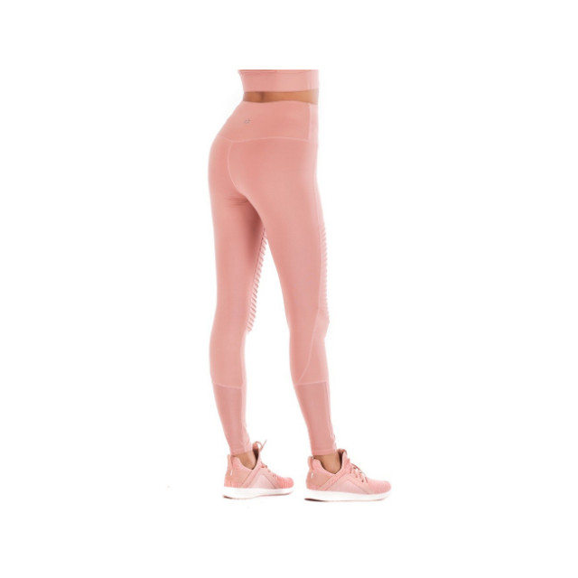 Women's Tights Colourful Pantone Yoga Pants  Wholesale