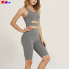 Sleeveless Solid Color Workout Shorts Sets Yoga Clothing Womens