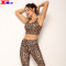New Fashion Leopard Print Women Yoga Sets Custom Logo Workout Clothes In Bulk