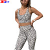 Activewear Clothing Ladies Leopard Sports Bra Yoga Pants Fitness Workout Set