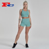 High Quality Sports Bra and Short Set Activewear Set Gym Yoga Wear for Women