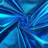 What is Shiny Fabric