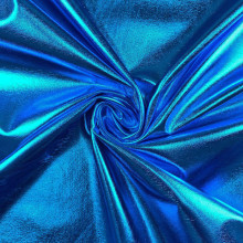 What is Shiny Fabric