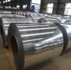 Witop successfully organized the production of high-strength steel plates