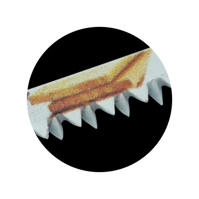 moretop jig saw blades T101B