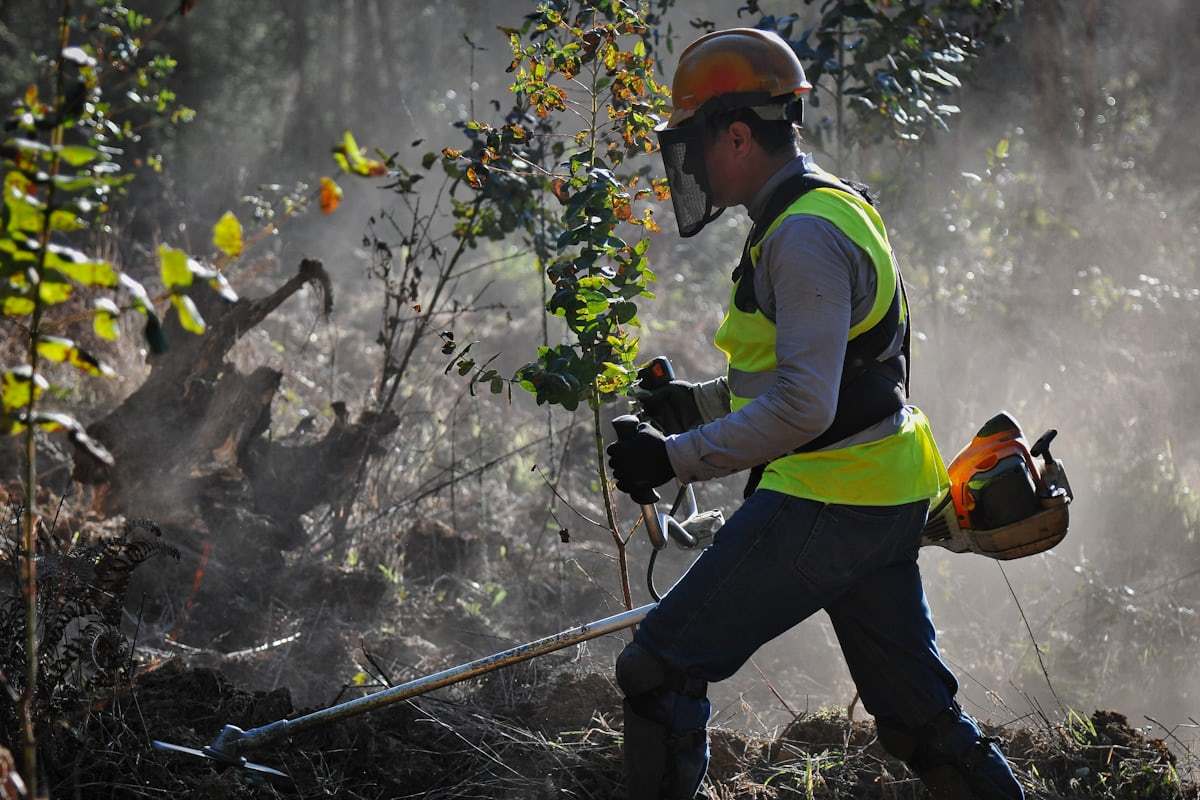 Worker using a tree trimmer for pruning applications