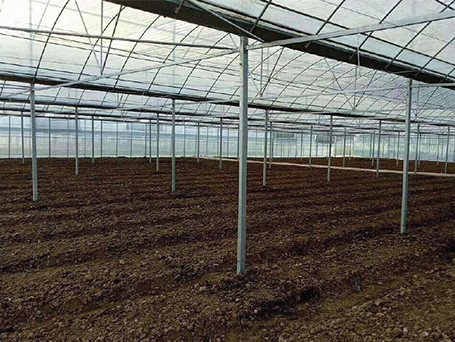 EgYPT GREEN HOUSE PROJECT