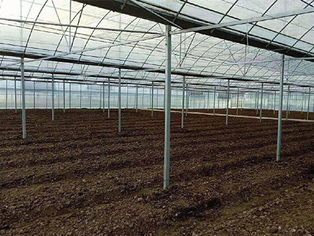 green house of the million feidan land improvement project in Egypt