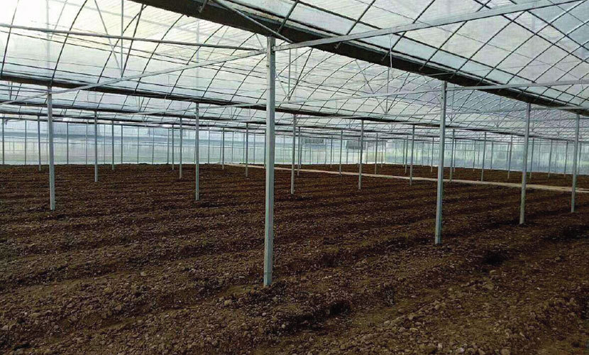 BIG NEWS!THE LARGEST GREENHOUSES PROJECT FOR EGYPT!