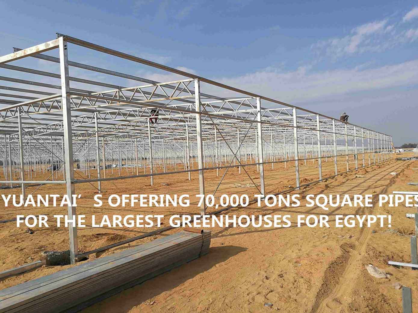EGYPT GREENHOUSE PROJECT