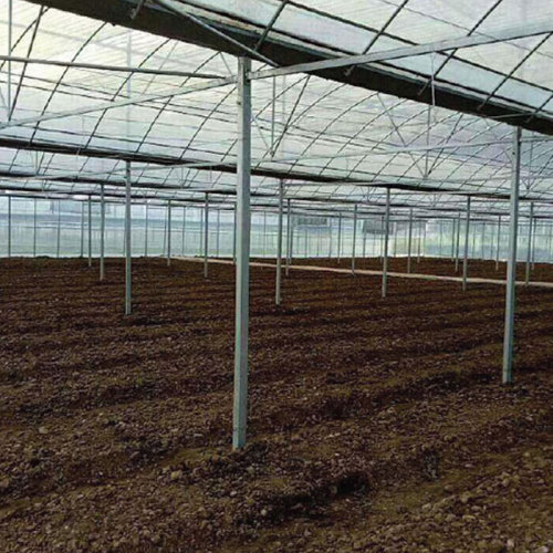 Egpyt Green House project