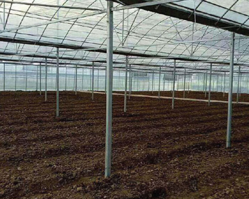 埃及萬元飛丹土地改良項目