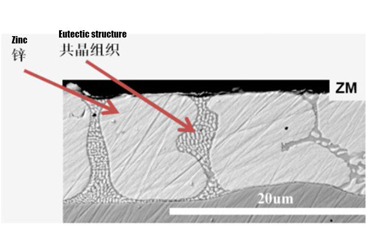 	  Characteristics of Zinc Aluminum Magnesium Steel Plate