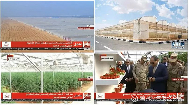 Egypt Million Ferdan Land Improvement Project
