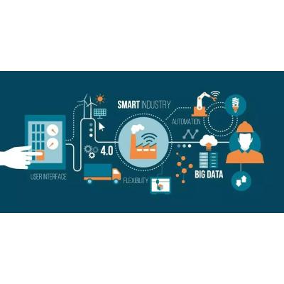 ACCELERATE DIGITAL TRANSFORMATION AND UPGRADING, AND DRIVE THE COORDINATED DEVELOPMENT OF ENTERPRISES IN THE SAME INDUSTRY