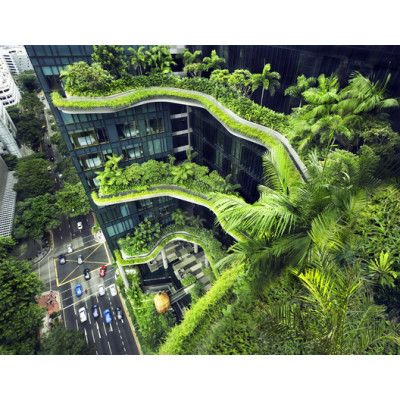¿¿ conoce la importancia de la certificación LEED en la arquitectura moderna?