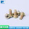 Cross Recessed Pan Head Triangular Thread Self-Tapping Screw