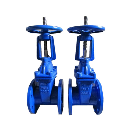 Rising stem rubber gate valve