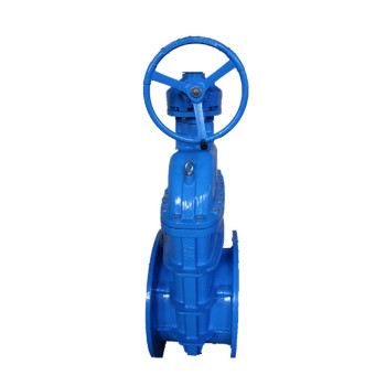 LARGE DIAMETER GATE VALVE