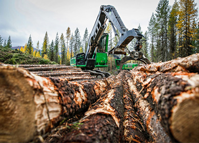 Timber industry chain