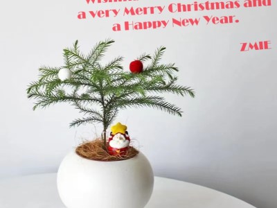 Merry Christmas