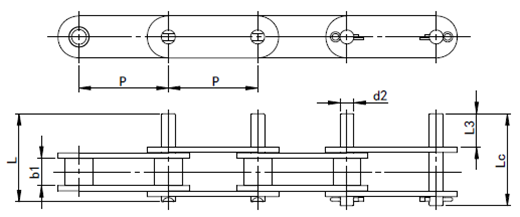 extended pin chain manufacturer