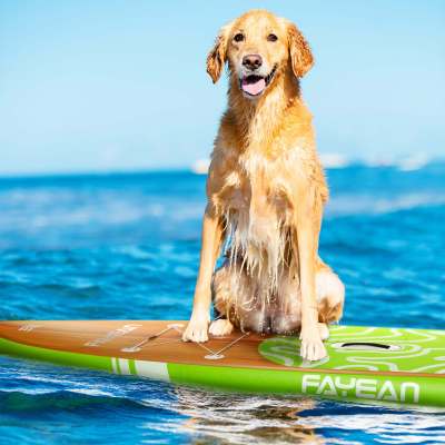 Inflatable Stand Up Paddle Board-Bamboo