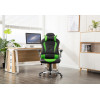 Cheap Ergonomic Gamer Office Chair Racing Gaming Chair green- 001