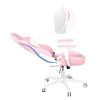 China Factory High Quality Back Gaming Chairs of  Racing 007 Pink