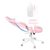 China Factory High Quality Back Gaming Chairs of Racing 007 Pink