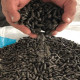 Do you know what is biomass pellet fuel?