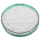 99% Powder Benzoic Acid Sodium Salt Food Additive Sodium Benzoate