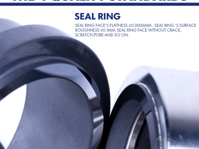 Selection principle of mechanical seals