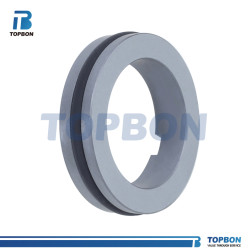 TBT21 replace AES S07/S070 mechanical seal