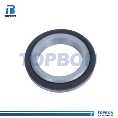 Mechanical seal TBBS replace John Crane BS Stationary Seat