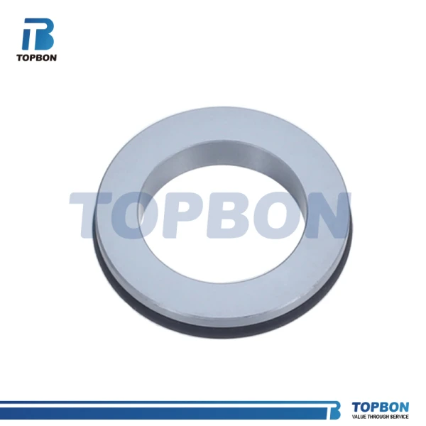 Mechanical seal TBBS replace John Crane BS Stationary Seat