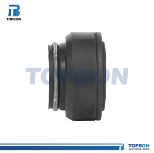 Mechanical seal TBFRSC Suit for FRISTAM Pumps with shaft 22MM 30MM