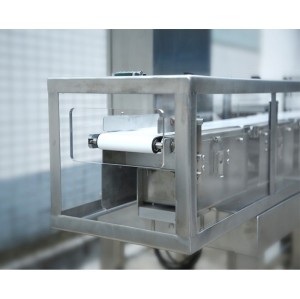 Ultra small range checkweigher food