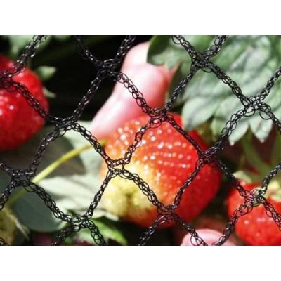 knitted Anti Bird Nets for Garden with UV