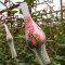 china Rose Bud Net|Flower Bud Net for rose flower packaging