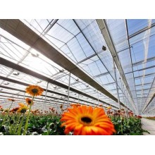 4 Tips to Choose The Climate Curtain Suitable for Your Horticulture Greenhouse